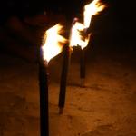 SONY DSC
