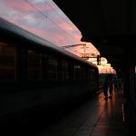 SONY DSC