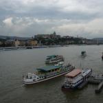 SONY DSC