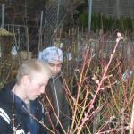002_baumpflanzaktion_2011