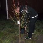 009_baumpflanzaktion_2011